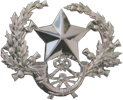 Cap badge